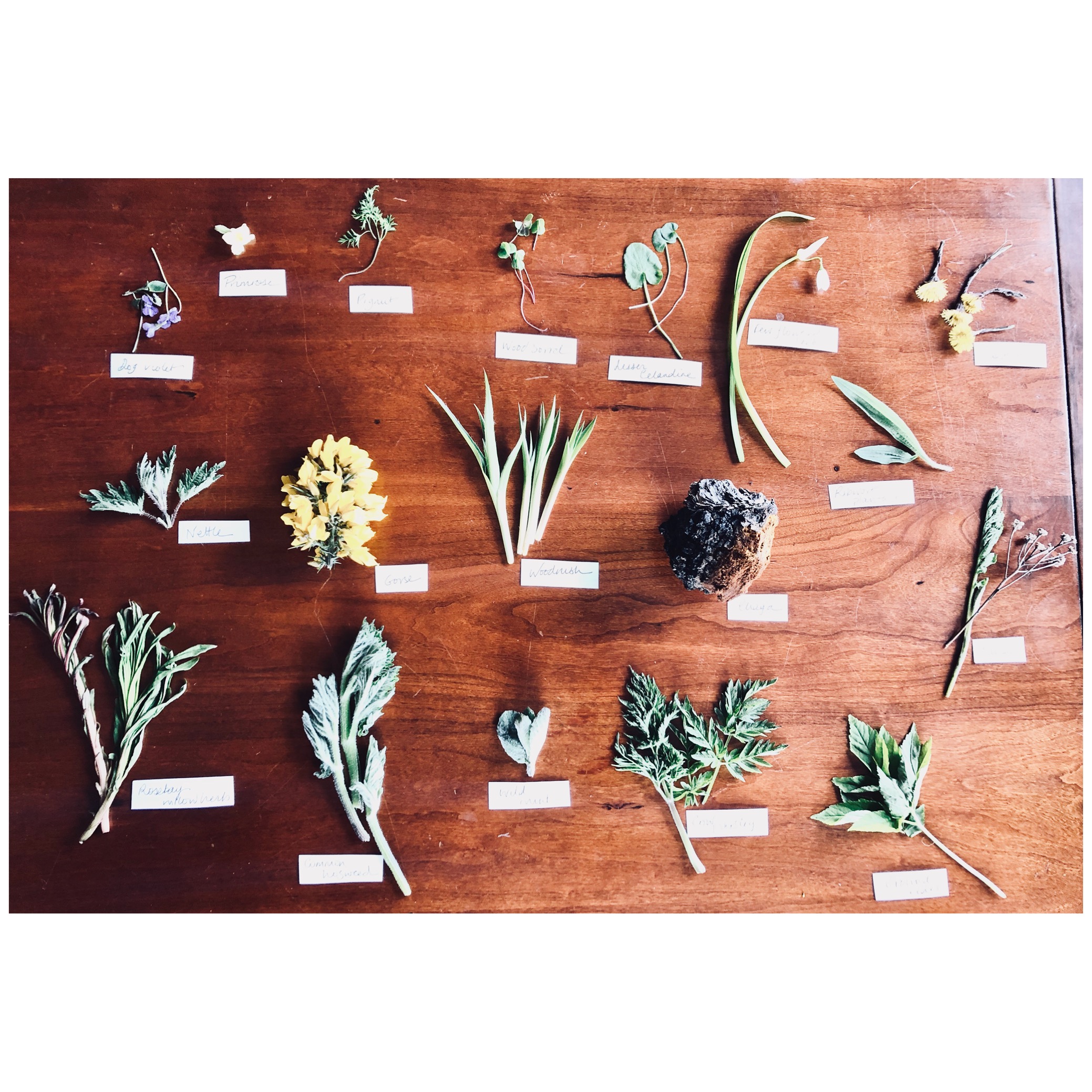 Amex - Duck and Waffle