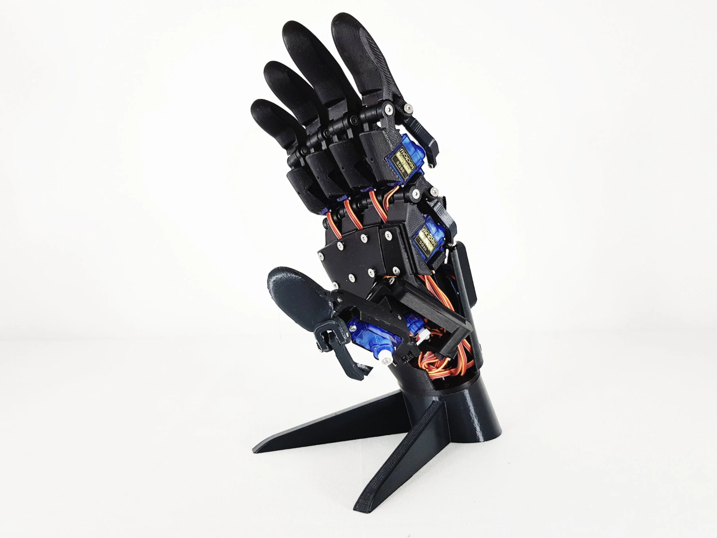 InShot_20190323_112731077.jpg