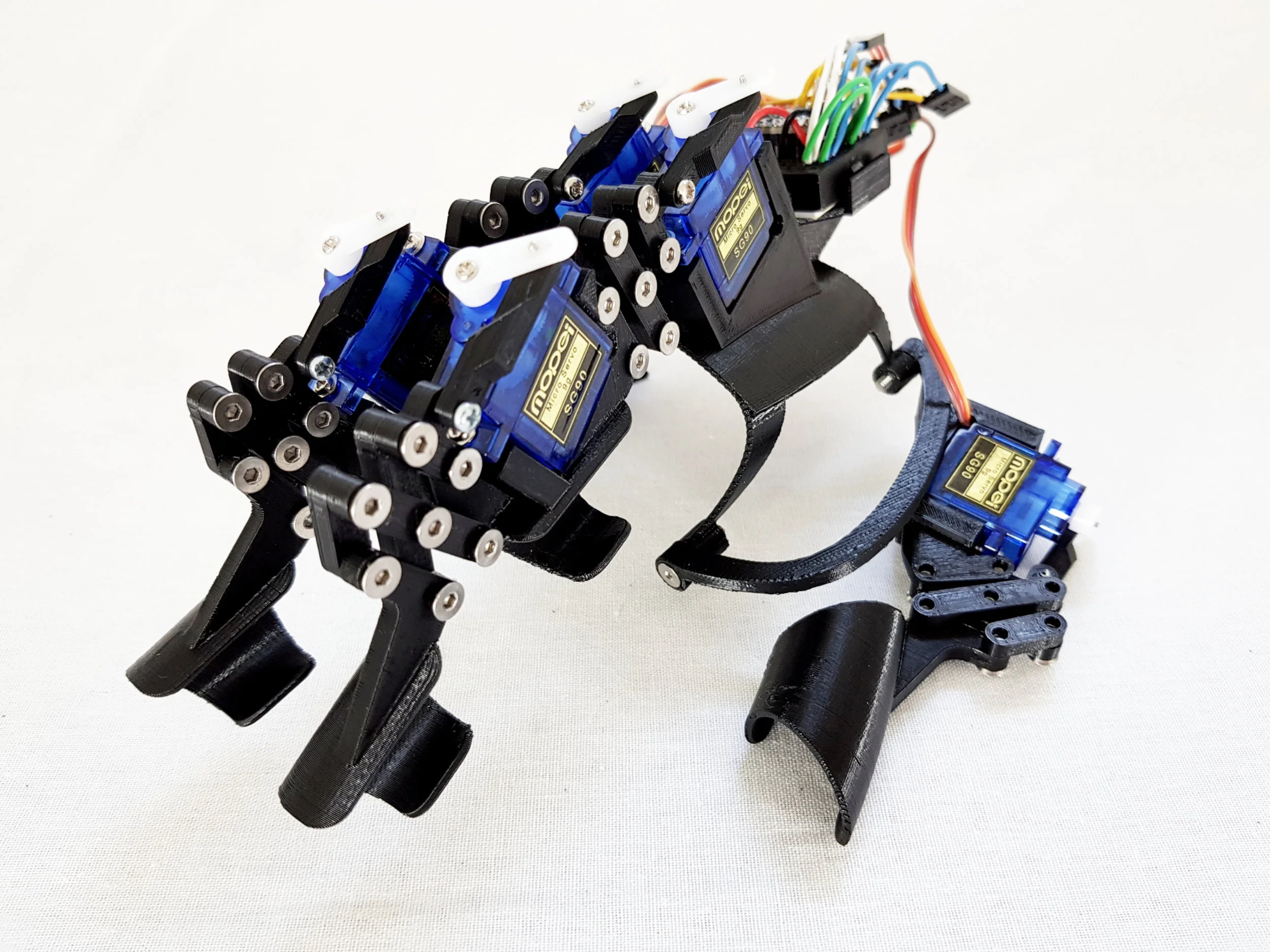 Exoskeleton Hand.jpg