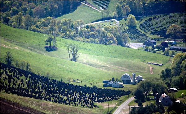 Photo by Brendan Smialowski for The New York Times