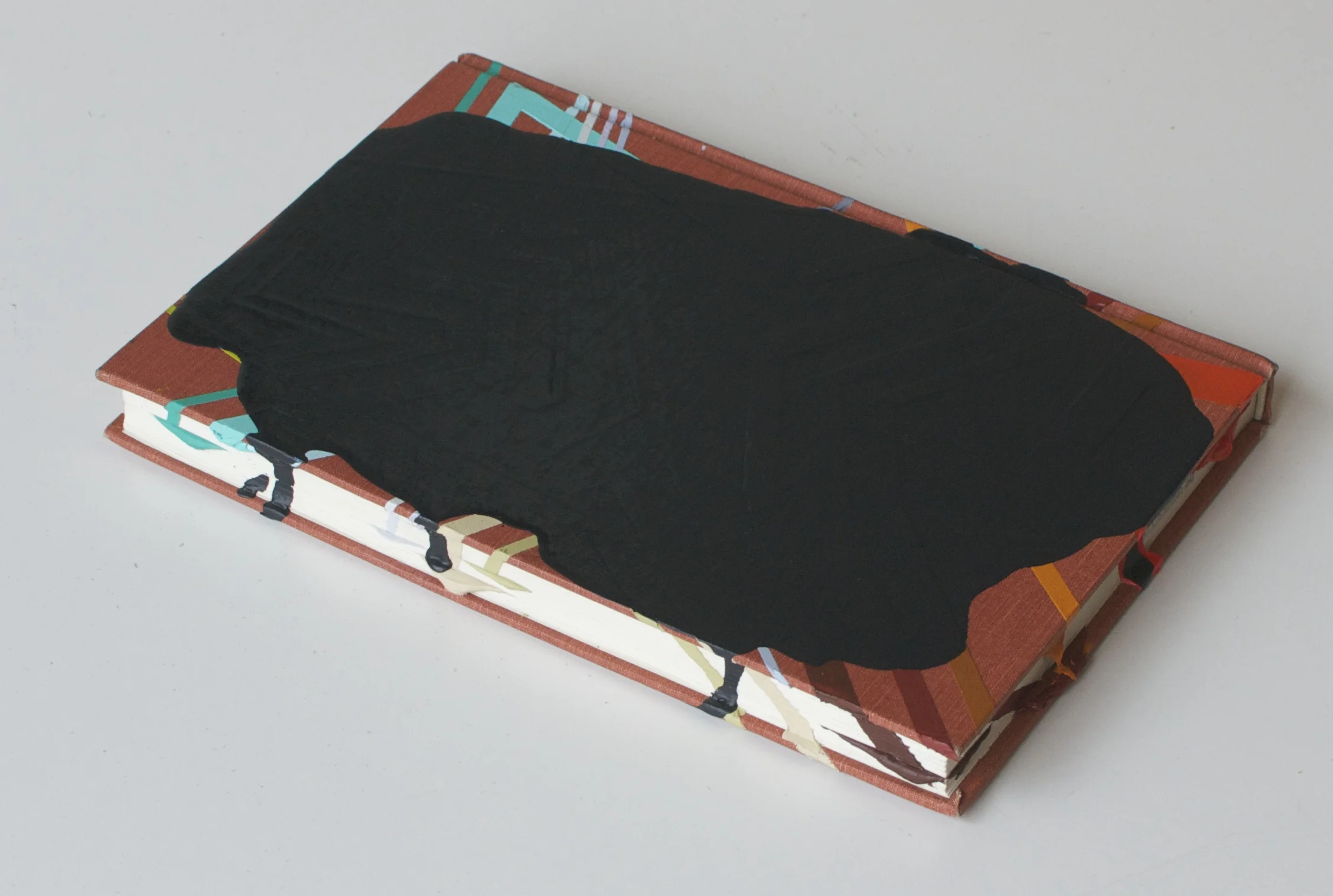 Fact and Feeling 2016 acrylic on found book 6.25 x 9.25 x 1