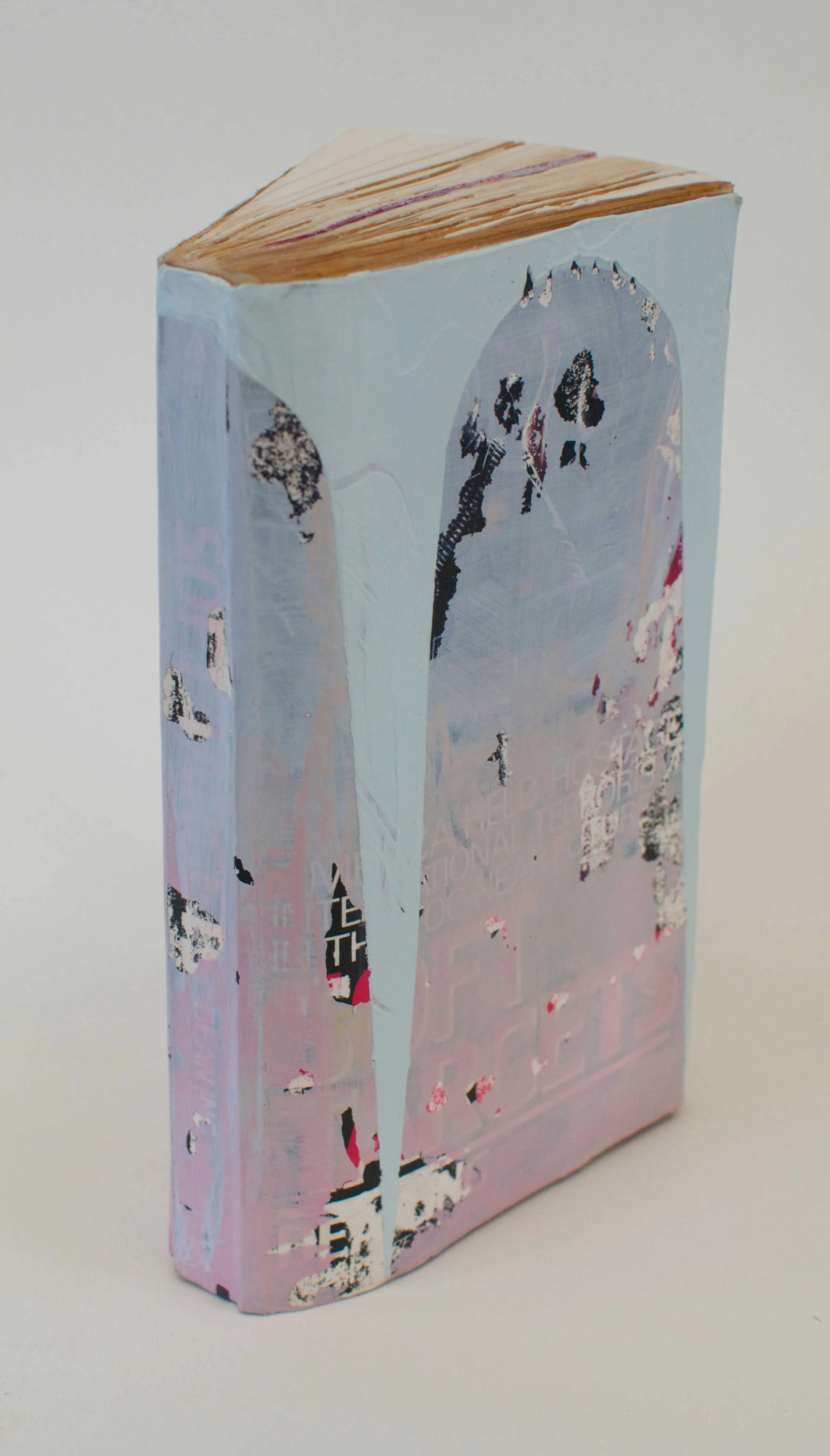 Soft Targets 2016 acrylic, hydrocal, used book