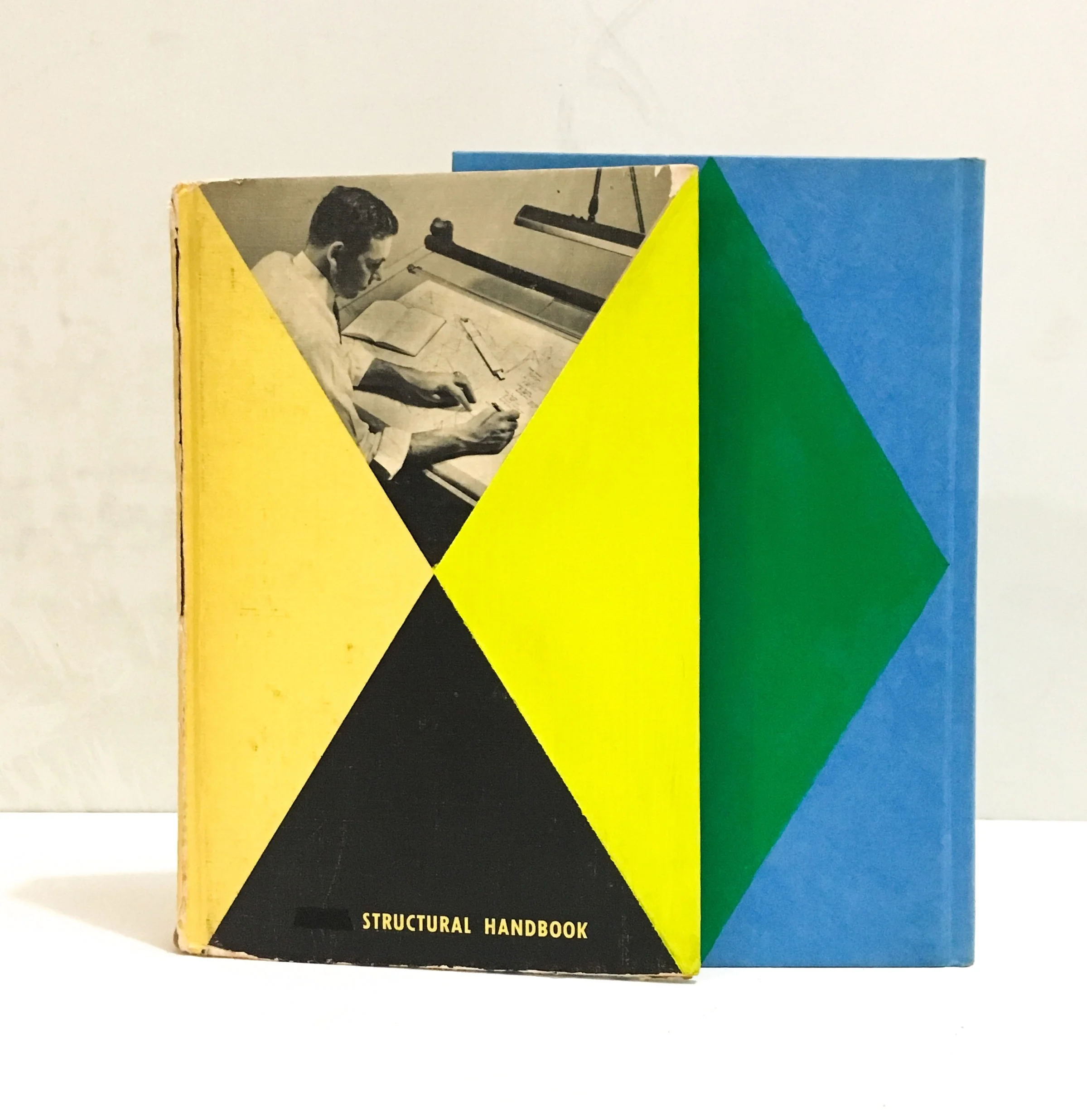 Irregular People/ Structural Handbook 2019 acrylic on weeded books