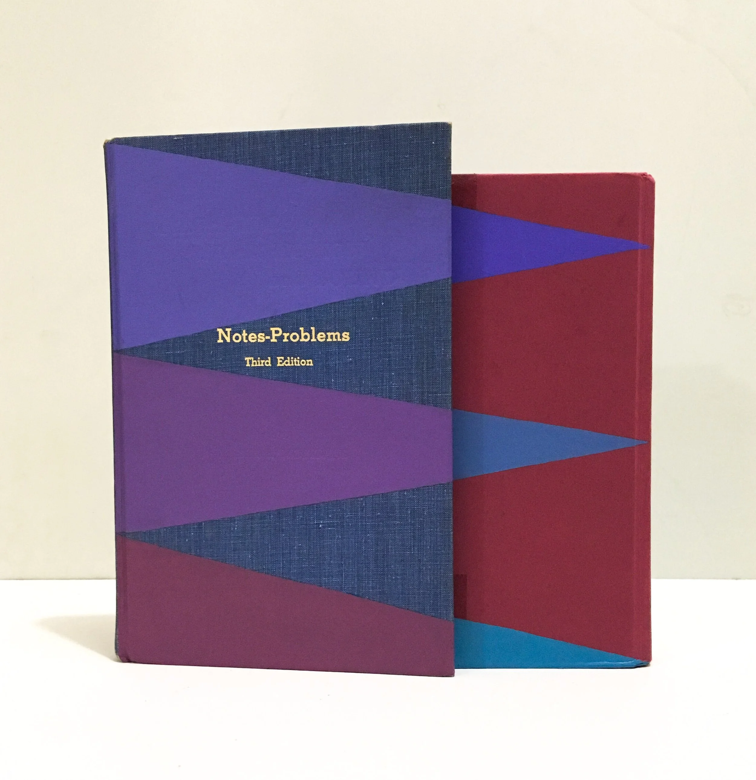 Notes-Problems/ Perception 2019 acrylic on weeded books