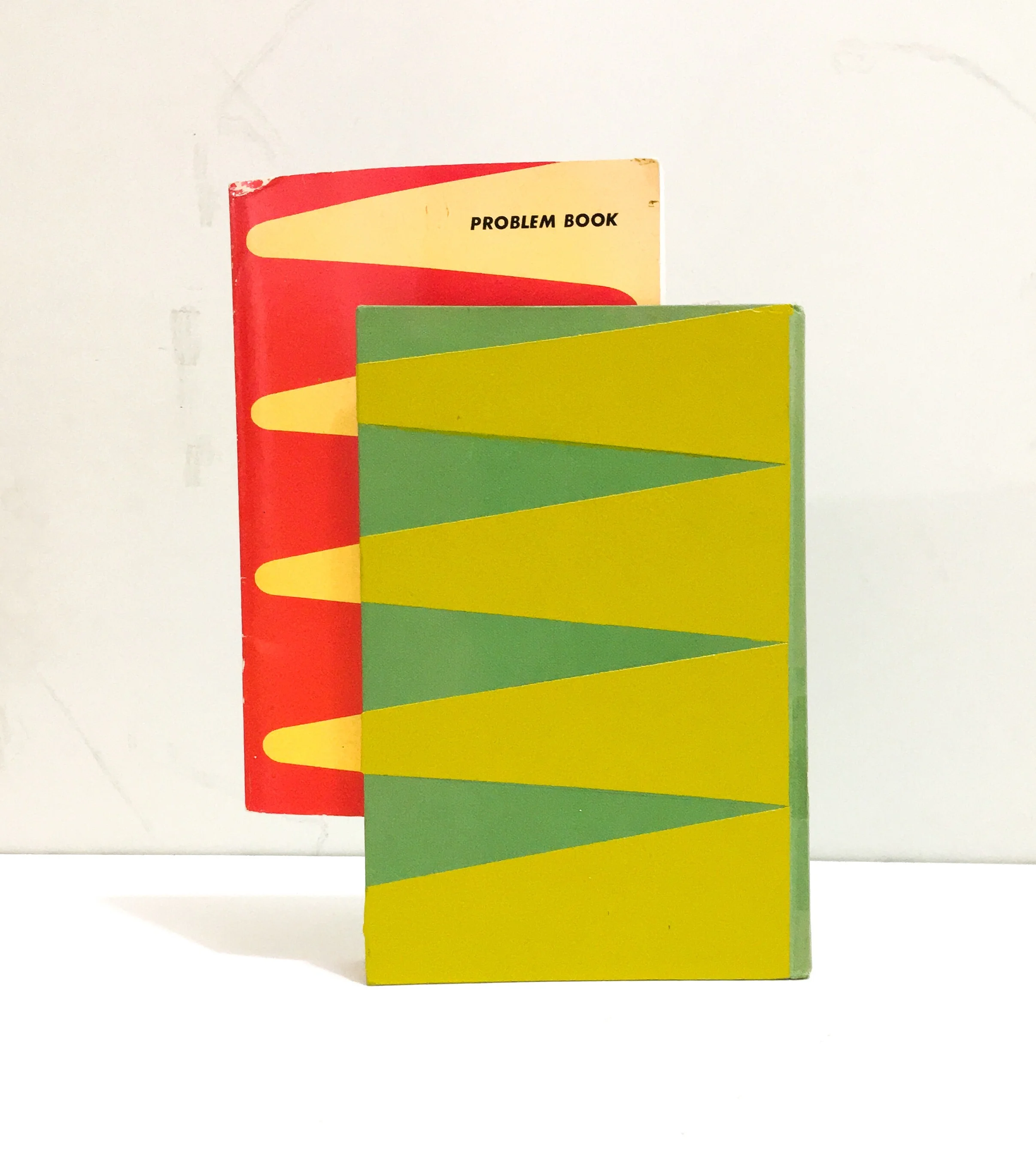 Problem Book/Acculturation 2019 acrylic on weeded books