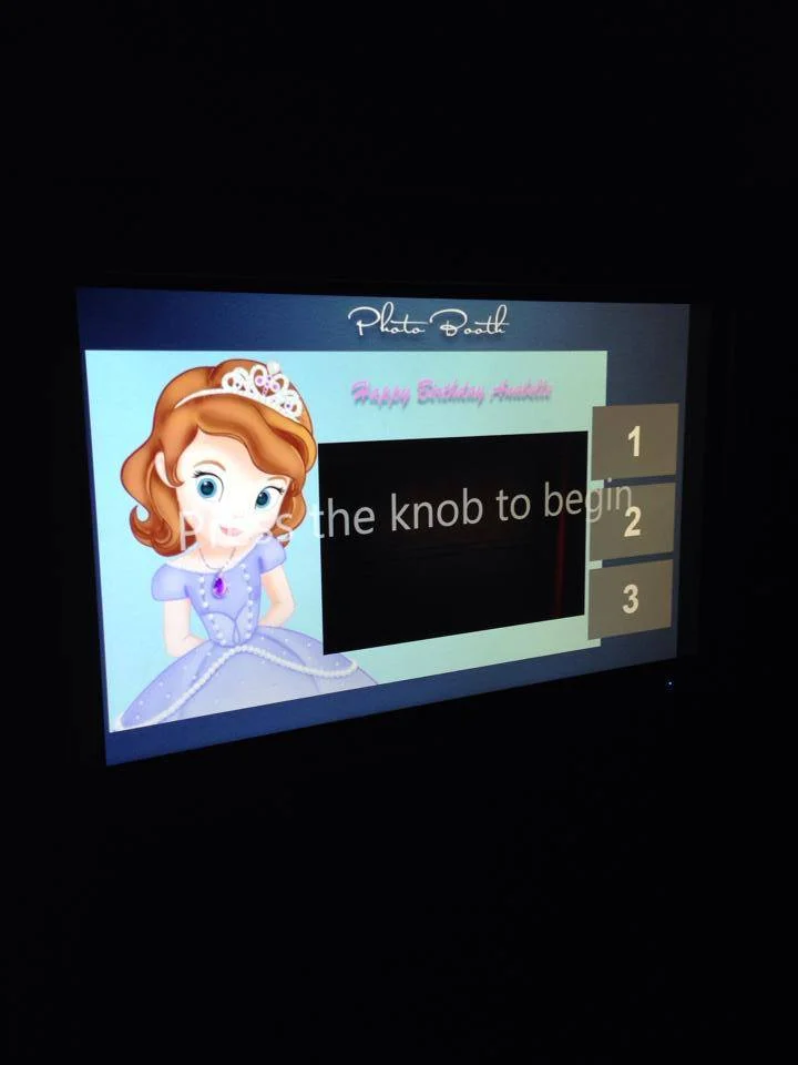 custom screen sofia.jpg
