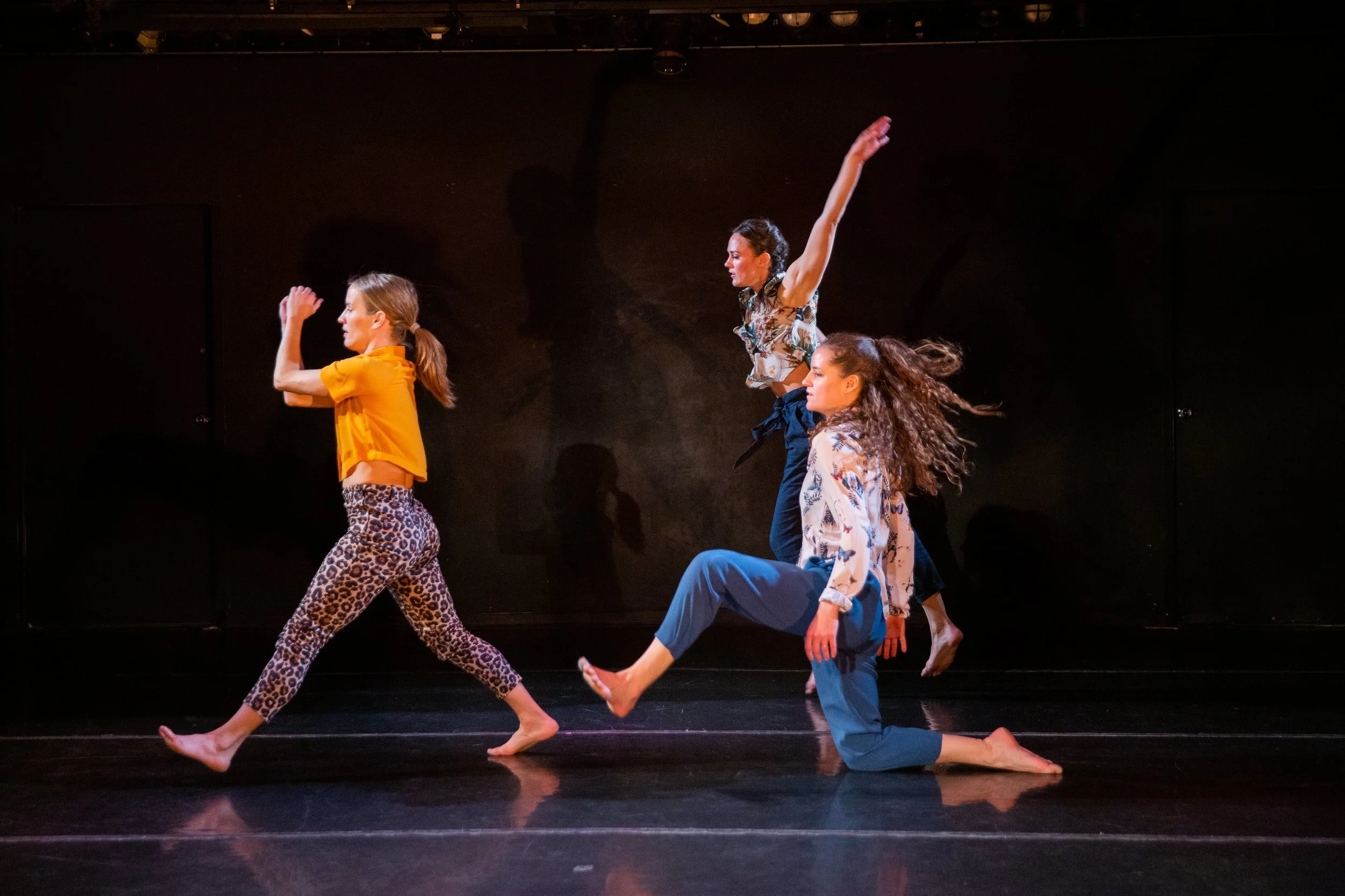 Highlight Reel from Triskelion 2019 Show