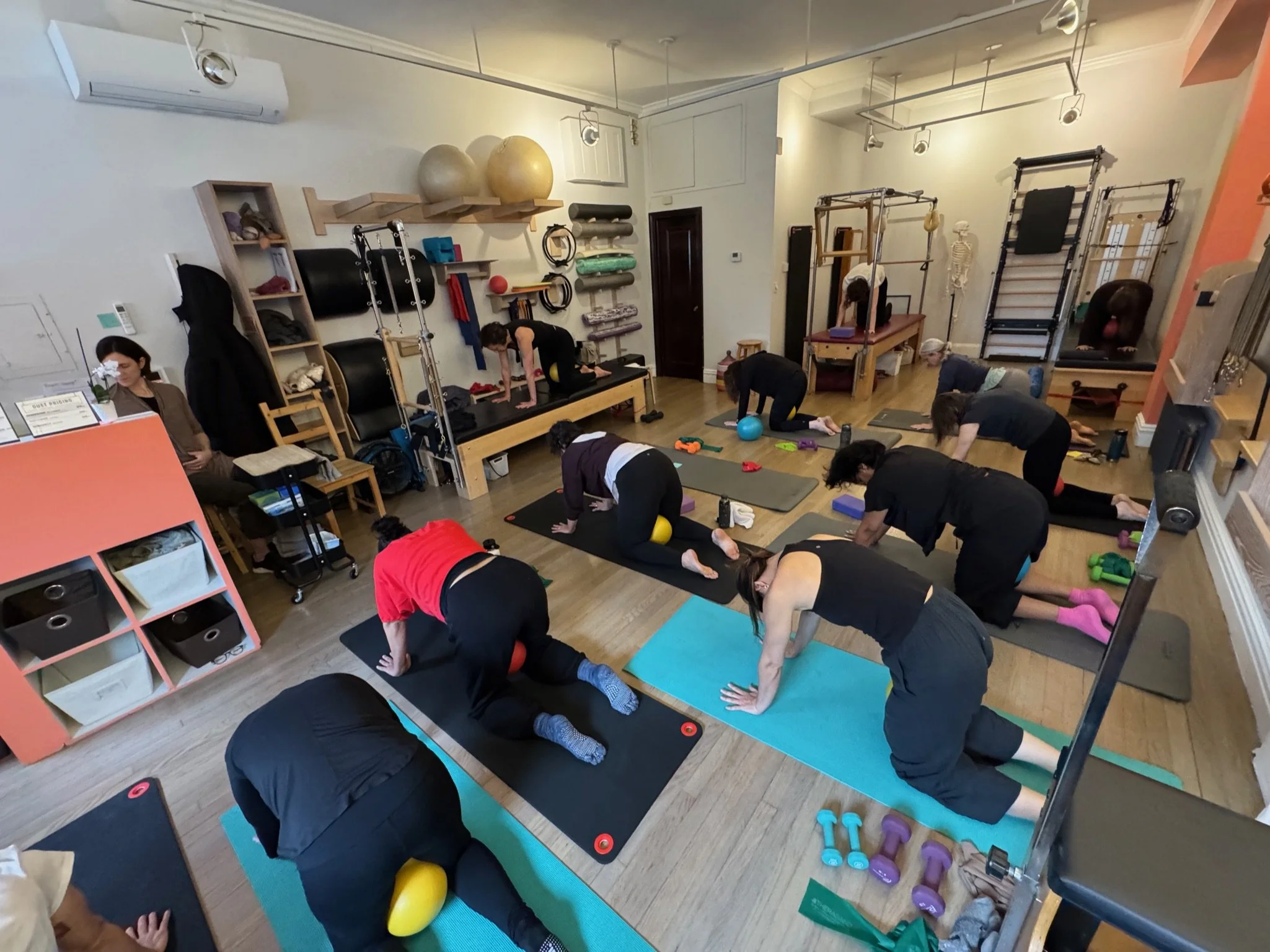 pausing cat:cow group.jpeg