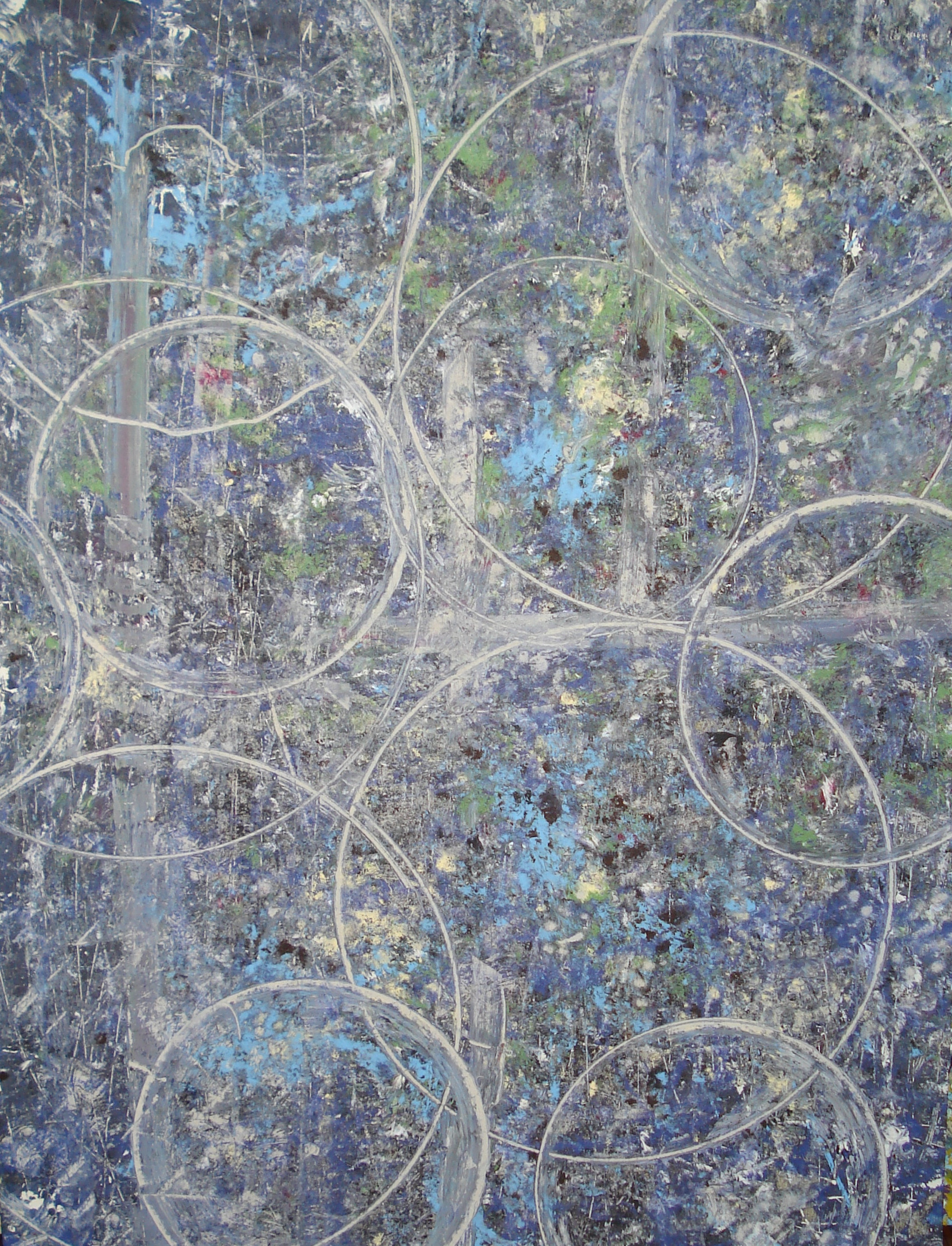 Bugs In The Forrest