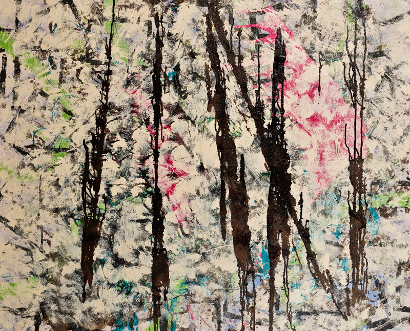 Lodgepole