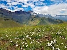 Southern African Mountain Conference 2022; Mar 14-17, 2022; Cathkin Park, South Africa