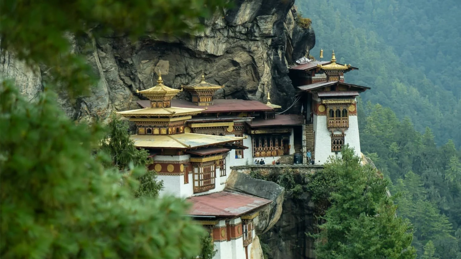AIMF Launches Initiative to Support Bhutan Trust Fund for Environmental Conservation