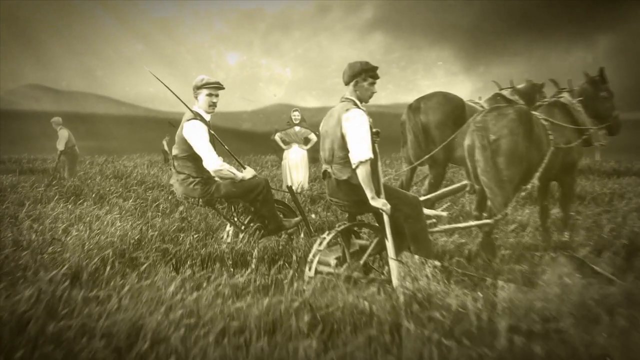 True Irish Roots