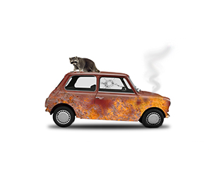 Betterfy_Car_300x250_1.png