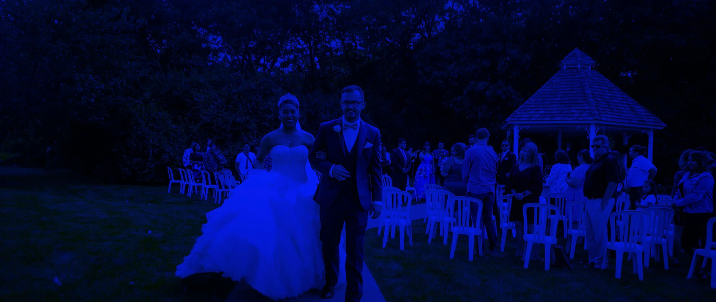 client reviews Header.jpg