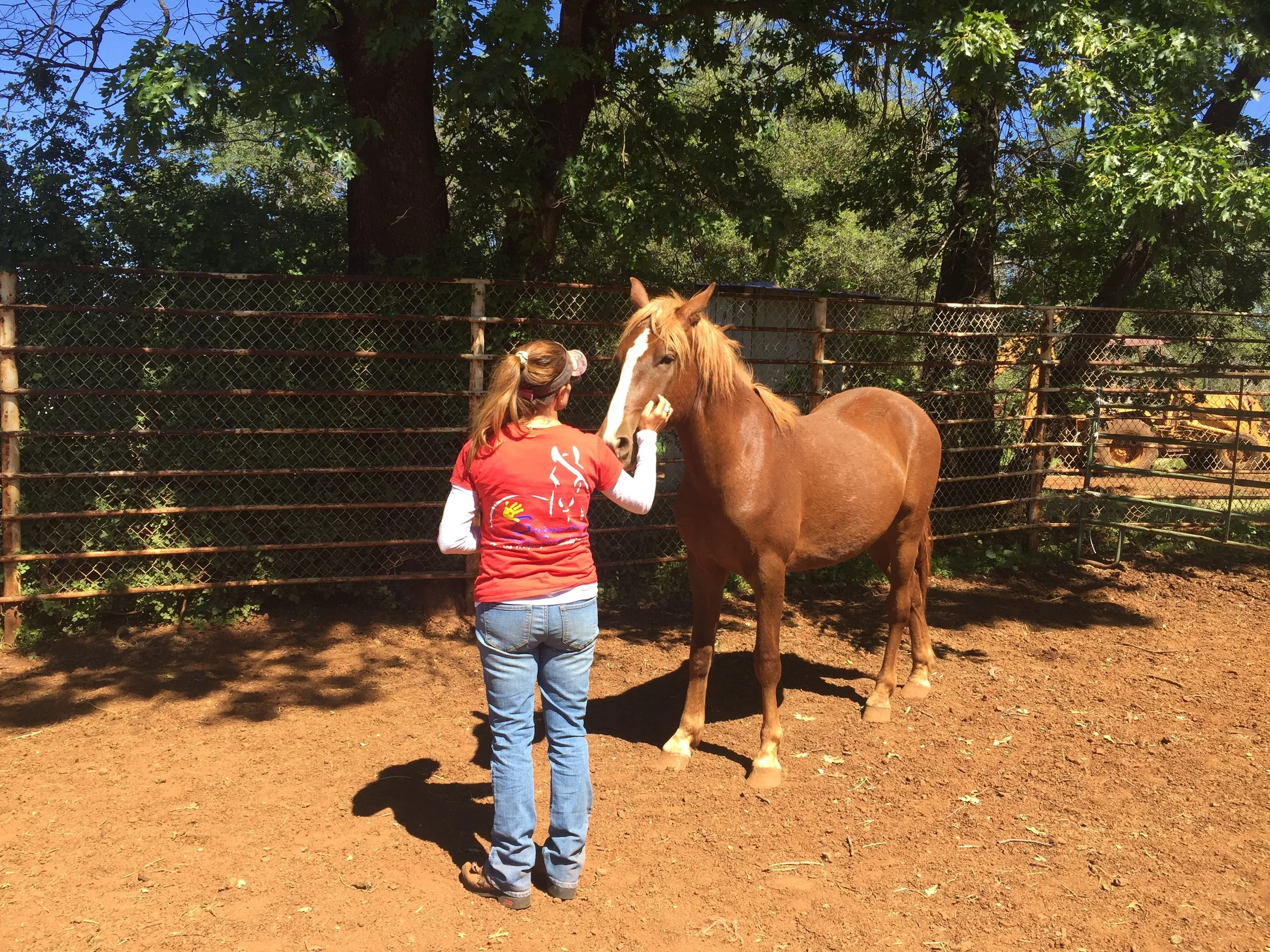 A participant and her mustang named Owen - who on Day 1 couldn't tolerate people being in his vicinity.