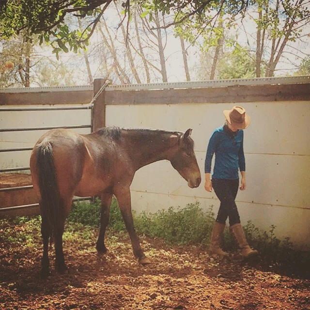 Me walking with Raven - both of us calm, relaxed, and engaged with each other.
