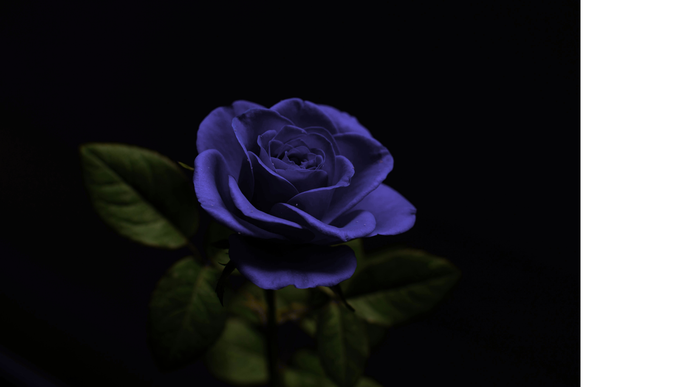 Having a Blue Valentine’s? I’ve been there