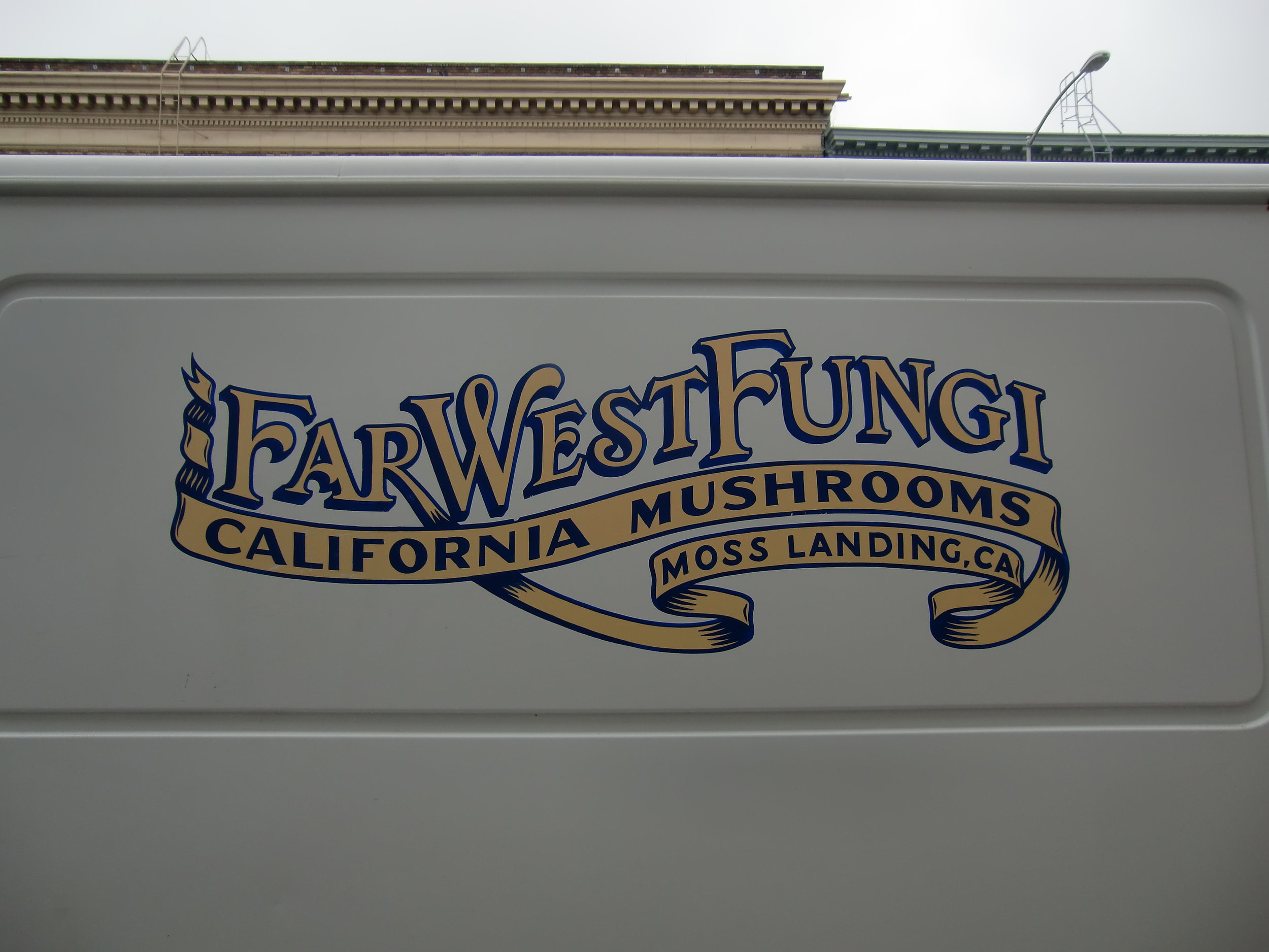 HAND-far-west-fungi-logo-on-van_5958864433_o.jpg