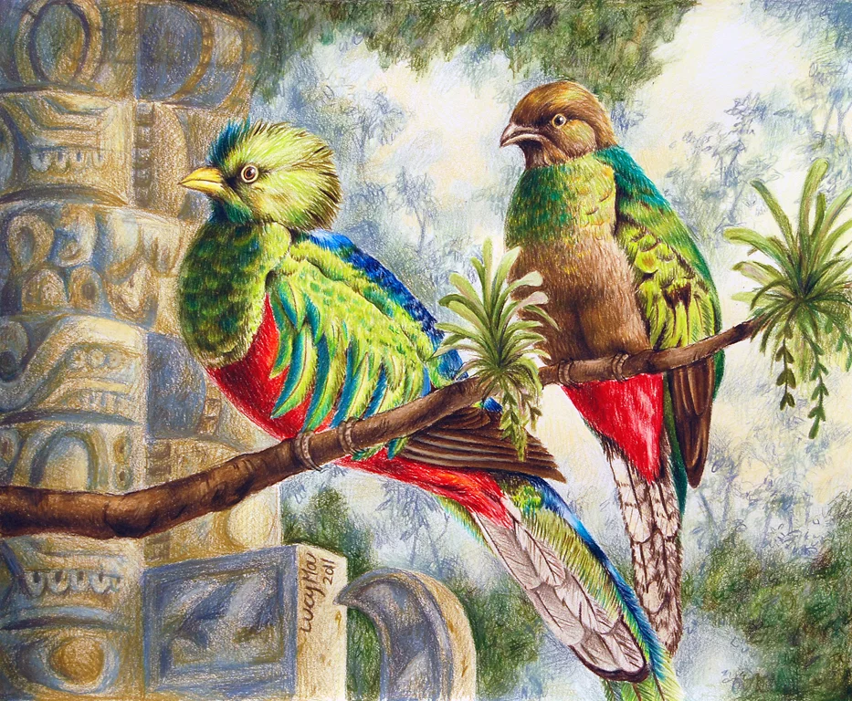 Target Practice Color Pencil, 14x17