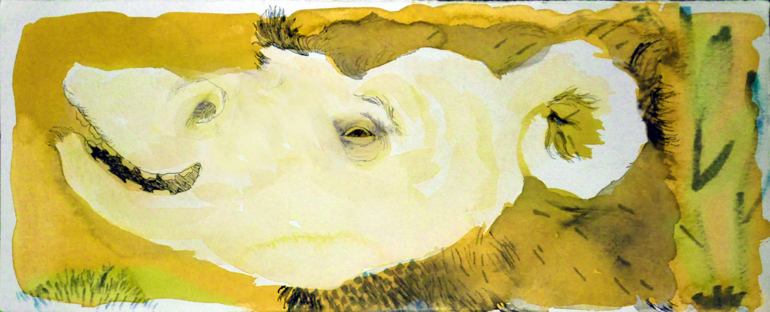 monkey.jpg