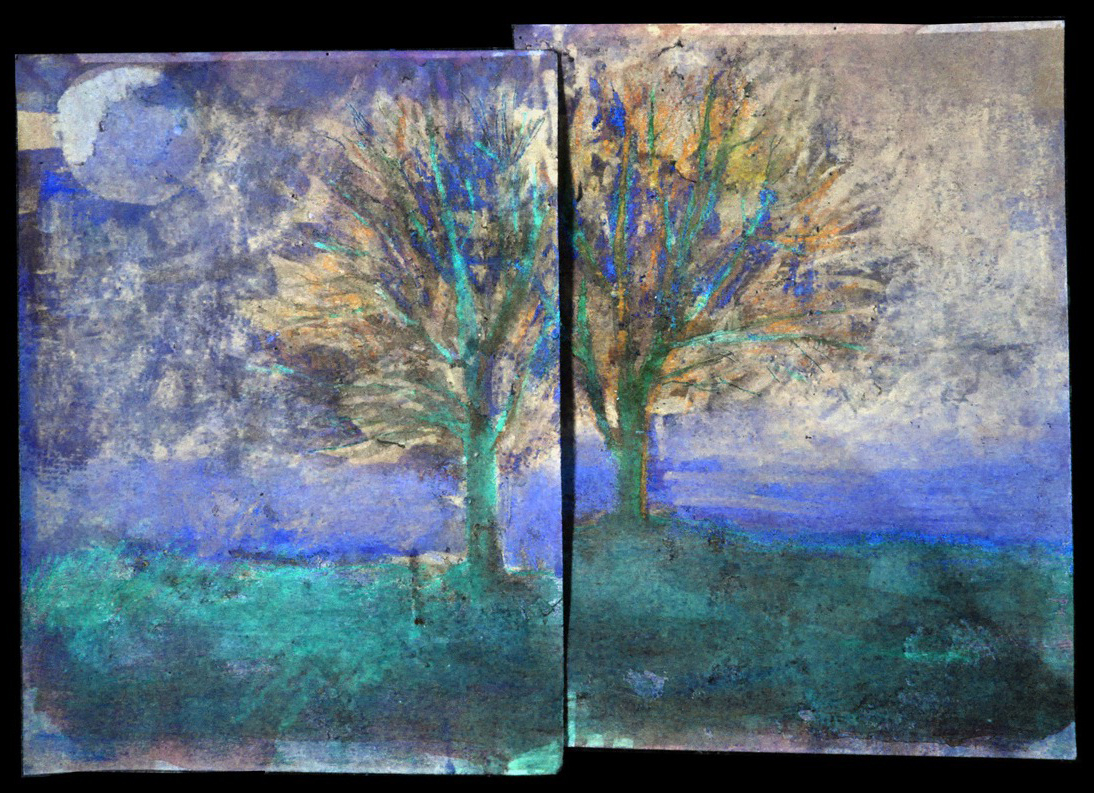 Day One Day Two / 2014 / 24"x36" / Mixed media / Collection of P ennsylvania Horticultural Society