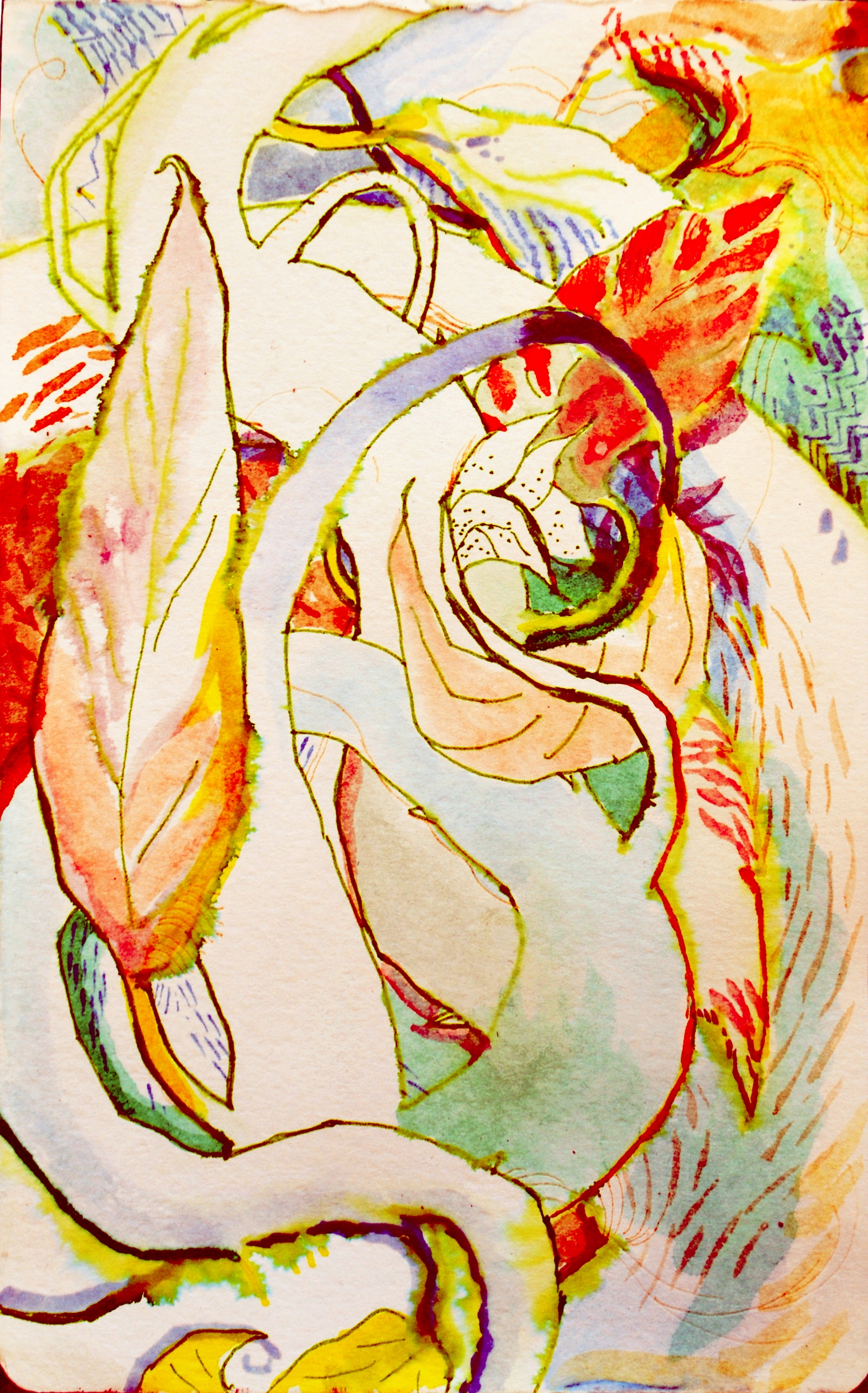 Spiral Nature Motif