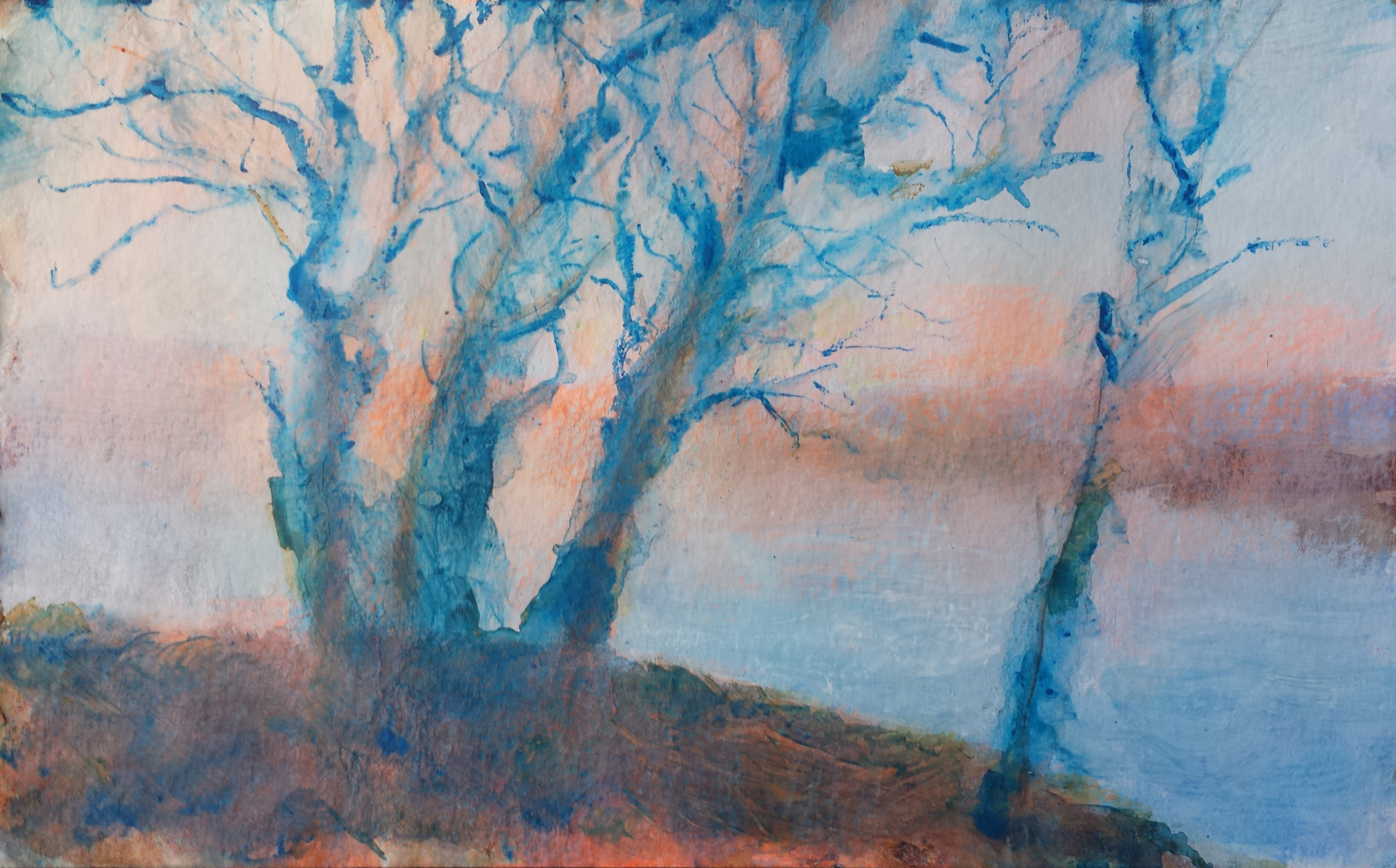 Blue Trees