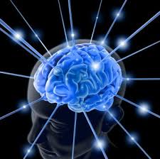 Law of Intention