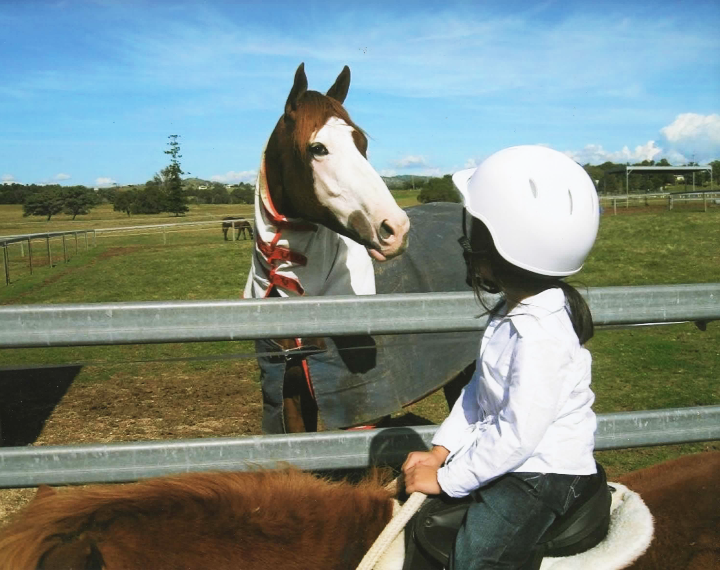 Apache Cat enjoying his time spelling at Oakwood Farm