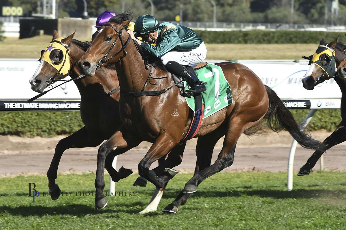 Group 3 Winning Son Of Snitzel! - ATC Up & Coming In Race Record Time Defeating TRAPEZE ARTIST!