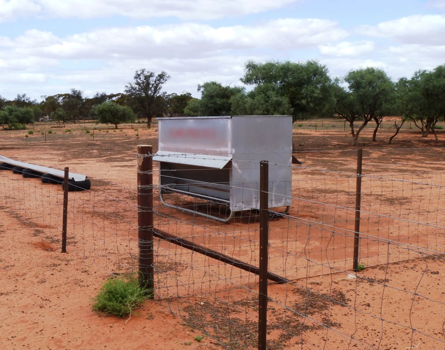 Weaning using a high starch diet for rumen development