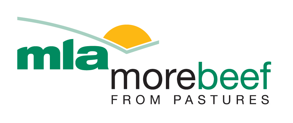 Beef cattle nutrition – sorting fact from fiction and knowing the essentials for productive beef herds