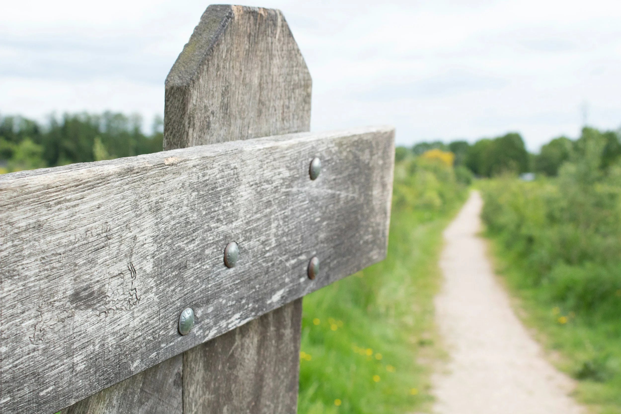 Jesus: The Son of God