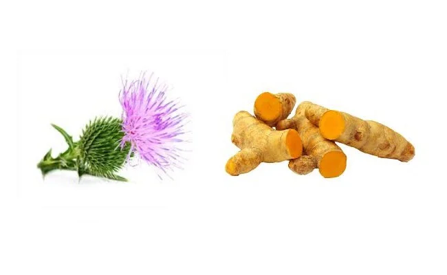 Detoxify The Liver To Promote Weight Loss