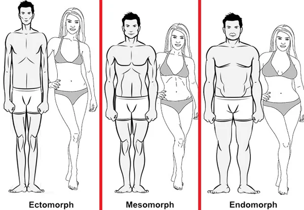 Whats your body type?