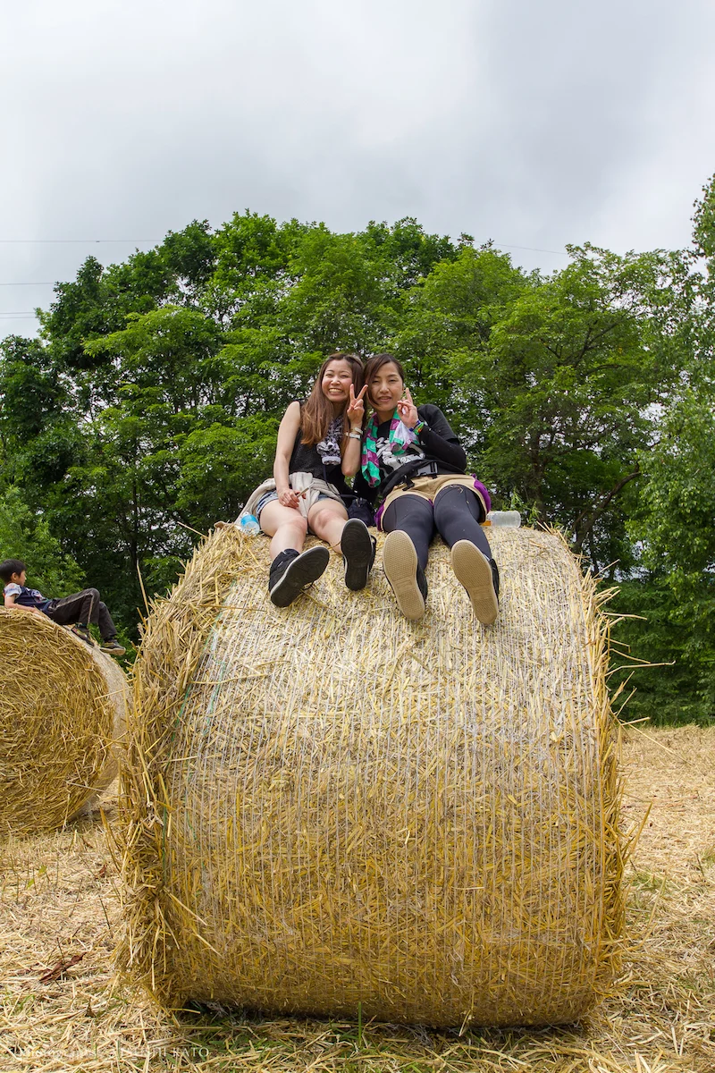 20140713-_MG_5064-1920.jpg