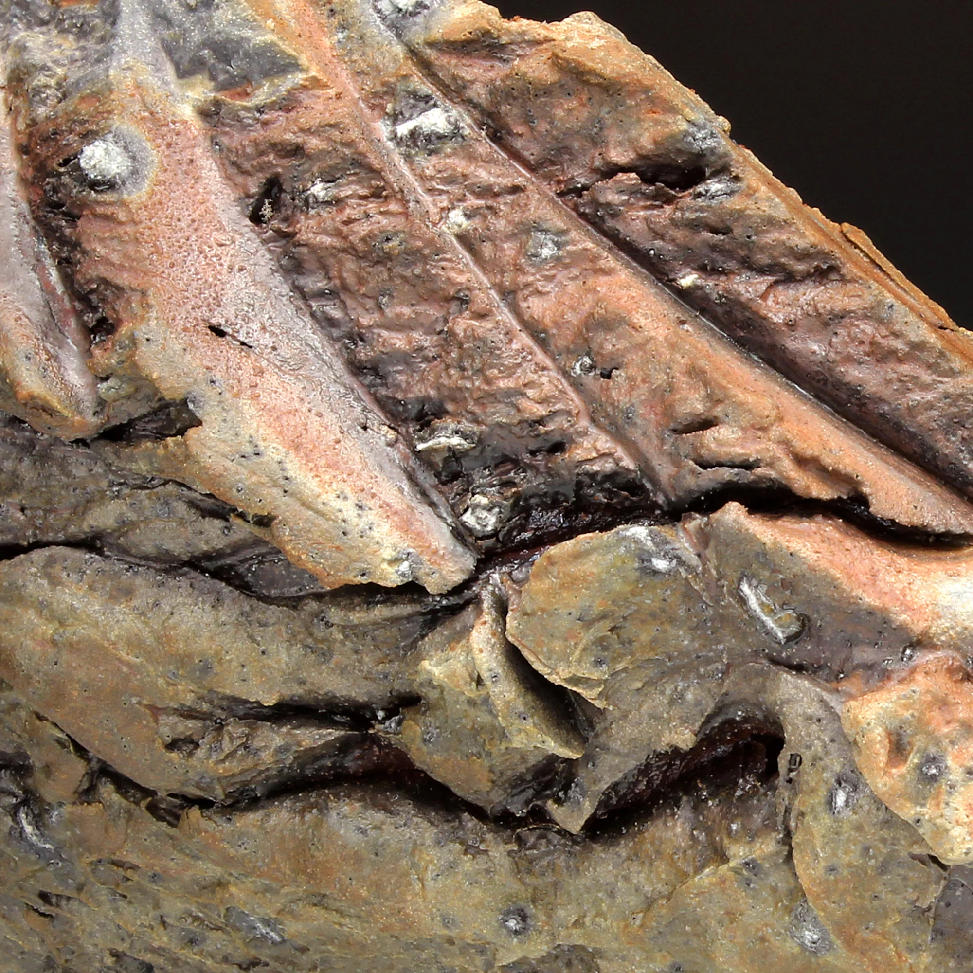 Gnar DishDetailWood fired stoneware, quartz2016