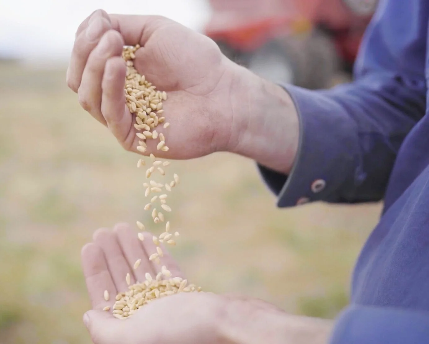 CropScanAg Solutions