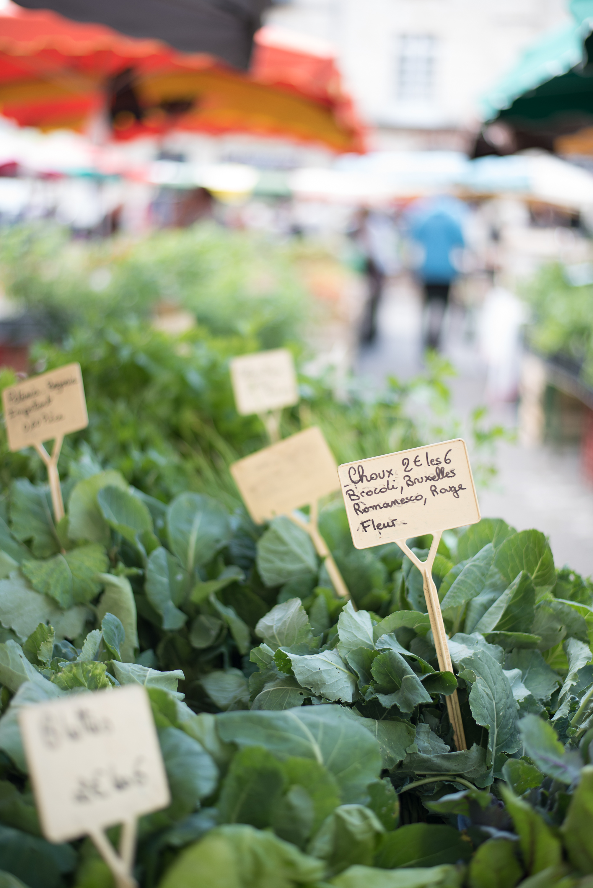 After the styling portion of our workshop we spent our final days visiting the surrounding towns of the Chateau. We shopped the open-air market in Perigeux and walked the hills of Saint-Émilion - both of which are UNESCO world heritage sites. 