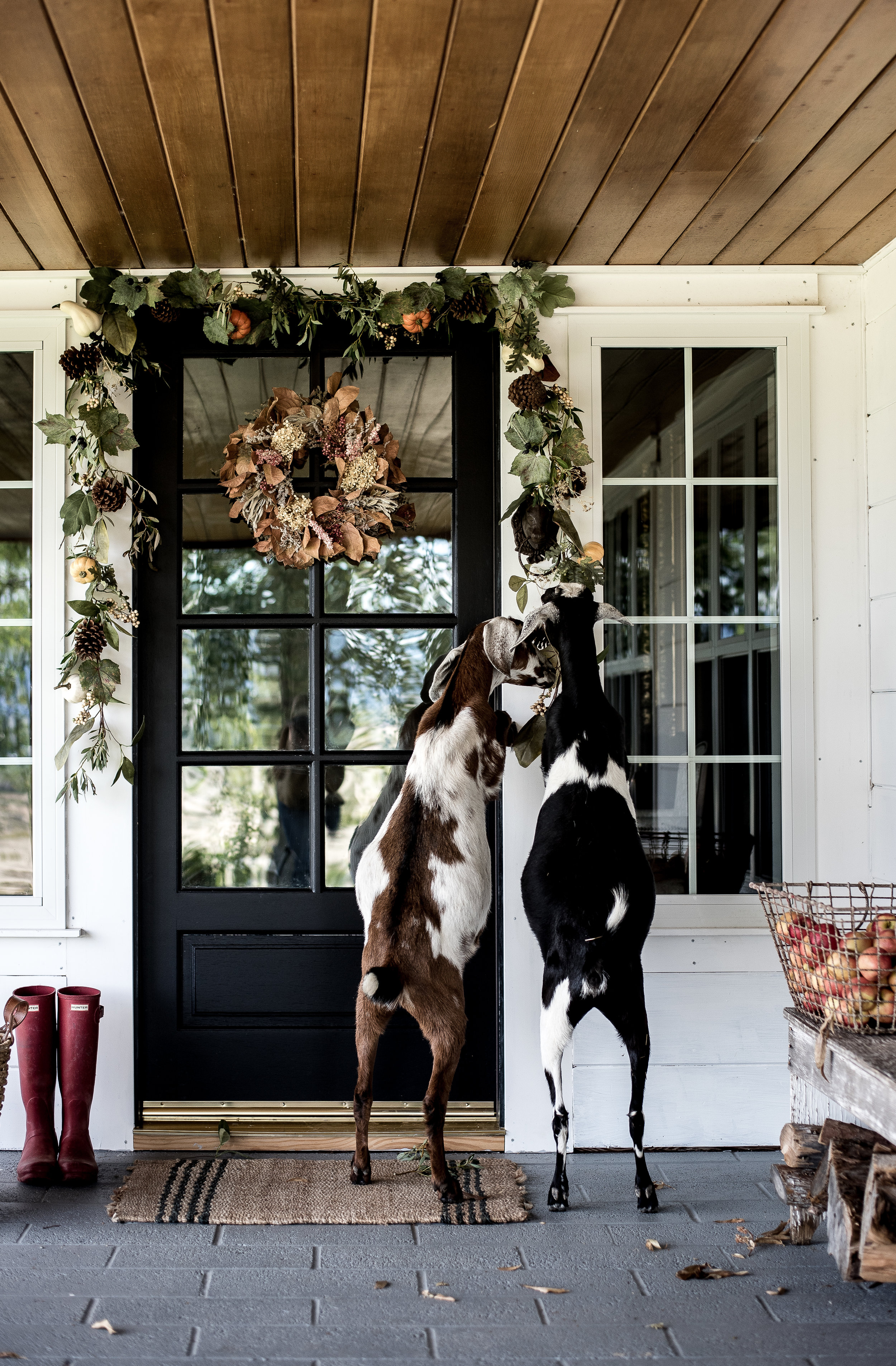 A few simple fall decorating ideas for your front porch from five different bloggers! #fallporch #falldecorating #falldecor #frontporchdecorations