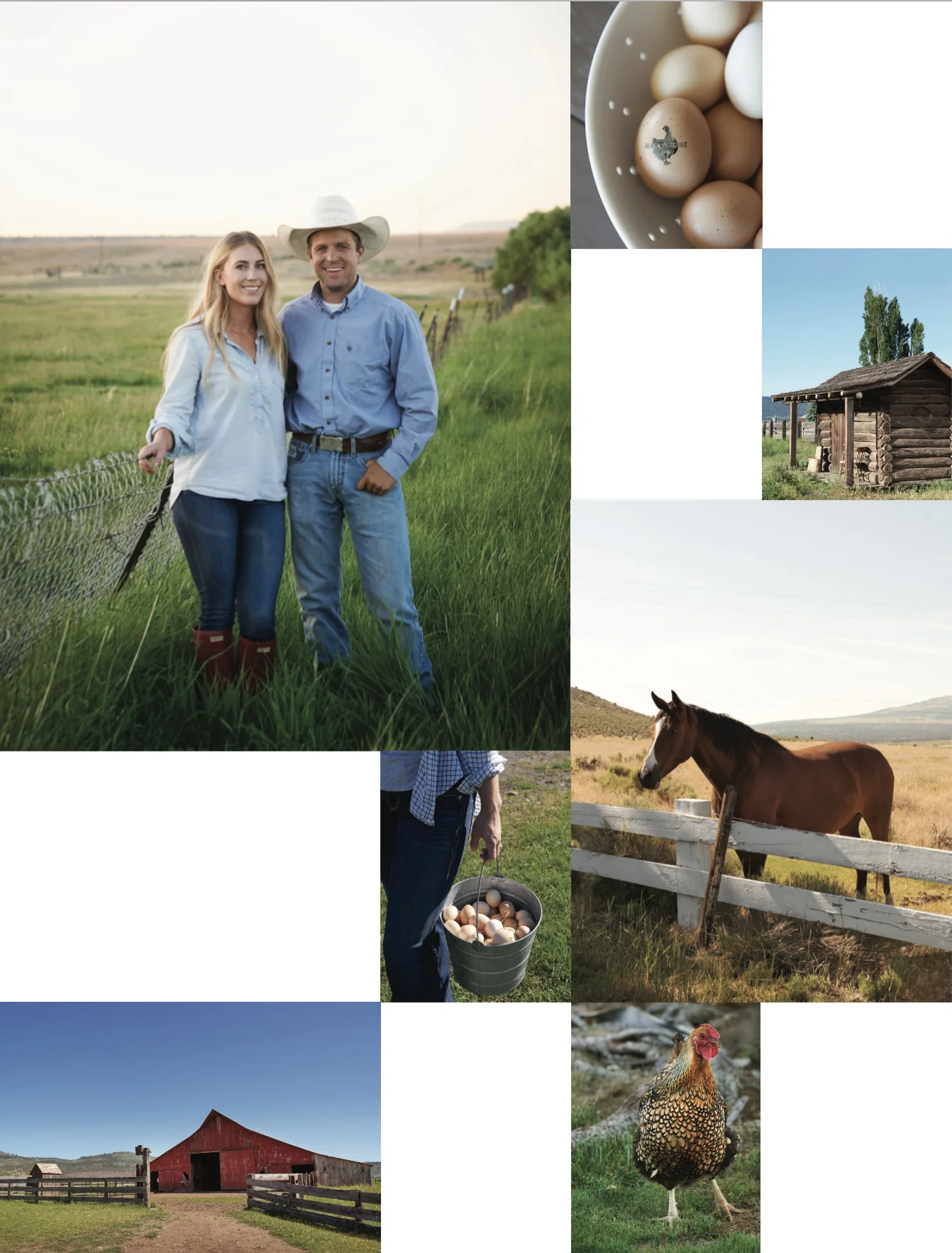 Life+on+the+farm+|+boxwoodavenue.com copy.jpg