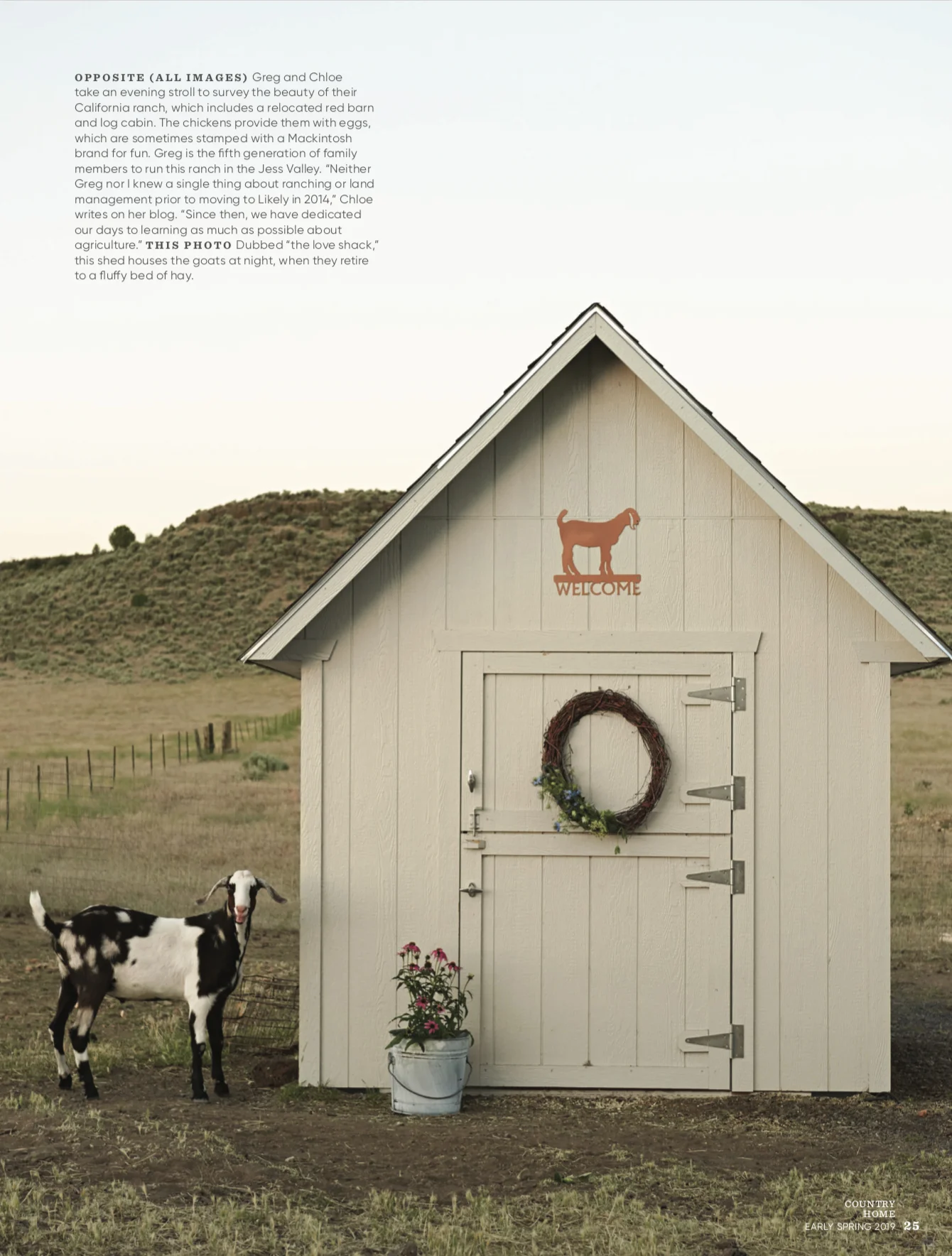 White+goat+barn+with+nubian+goat+|+storage+shed+barn+ideas+|+#farmhousestyle+#goats copy.jpg