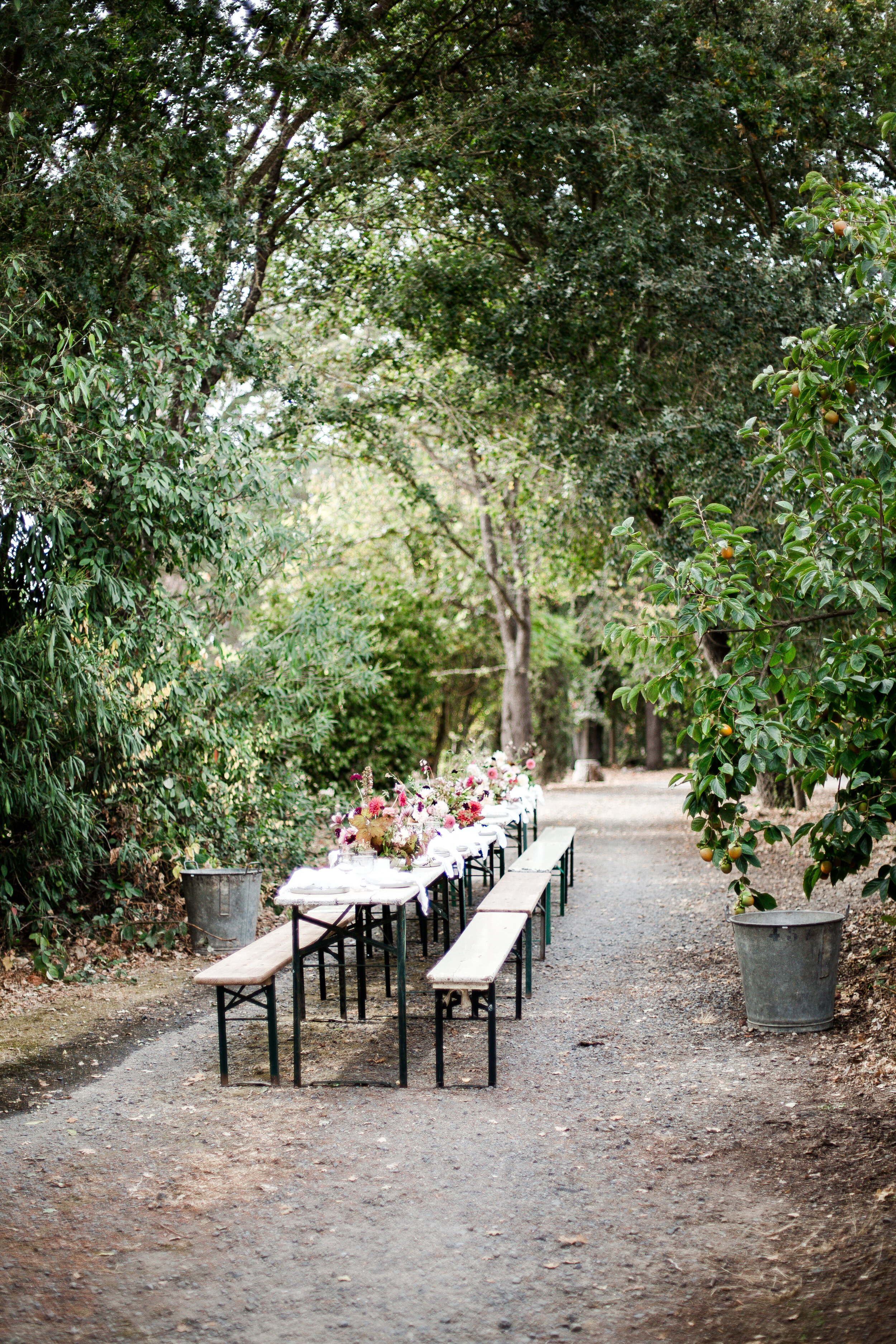 Looking for beautiful fall tablescape ideas? You’ve come to the right place. Take a peek into our afternoon Harvest Party with McEvoy Ranch.