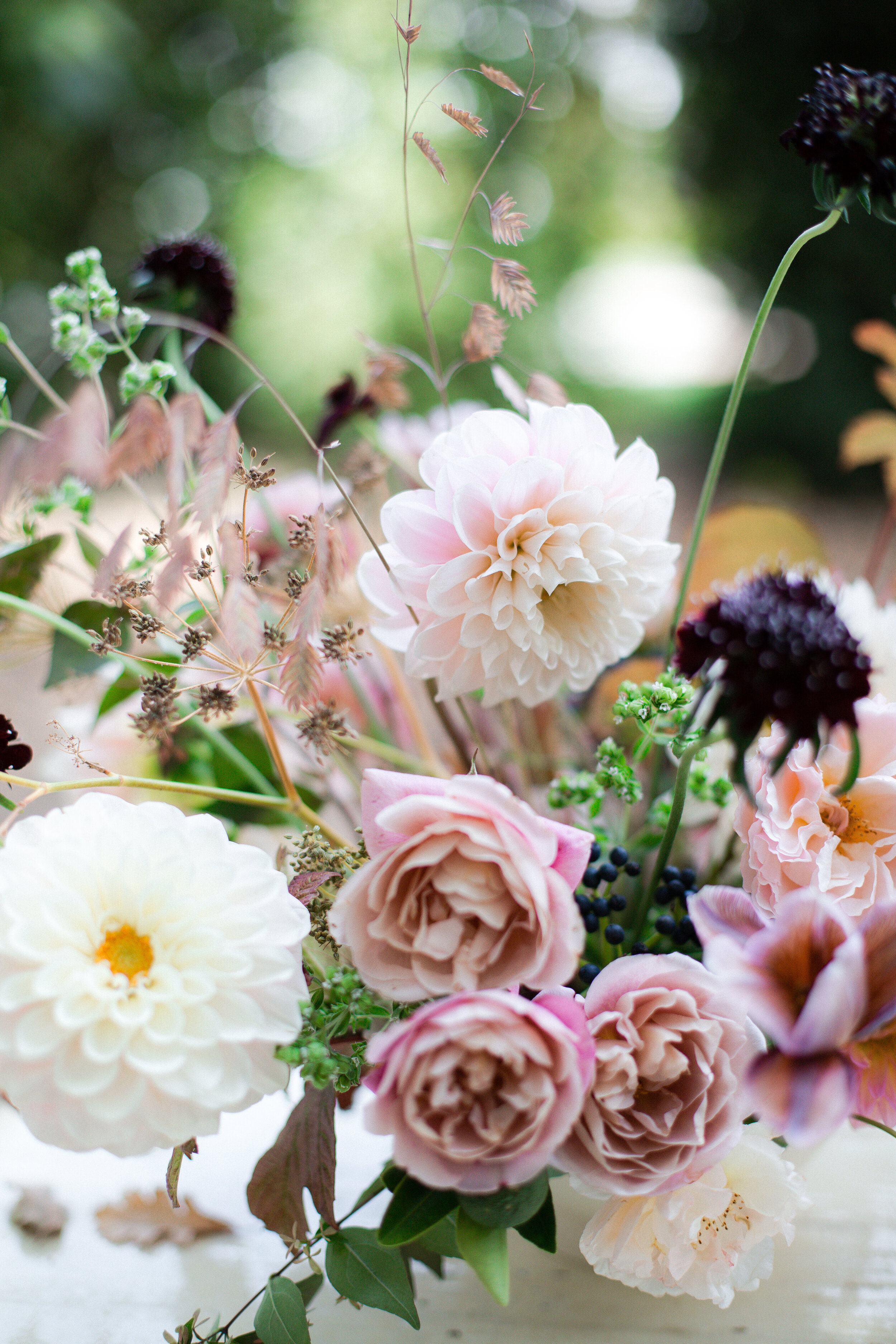 Looking for beautiful fall tablescape ideas? You’ve come to the right place. Take a peek into our afternoon Harvest Party with McEvoy Ranch.