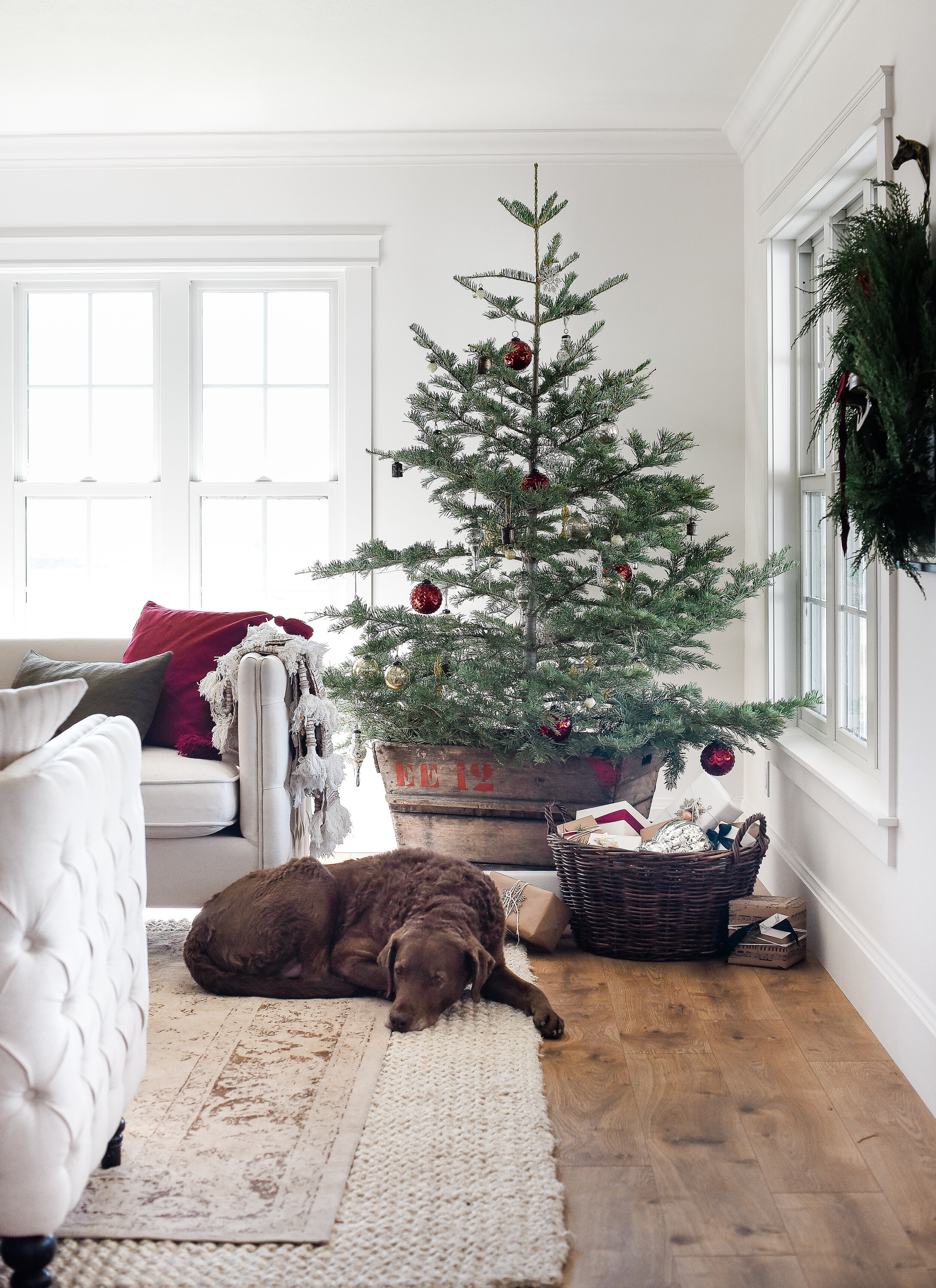 Wondering how to keep your real Christmas tree alive? These proven tips will help preserve your live Christmas tree and keep it fresh all month long!