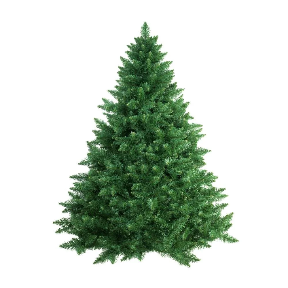 Your Ultimate Guide to Selecting the BEST Real Christmas Tree