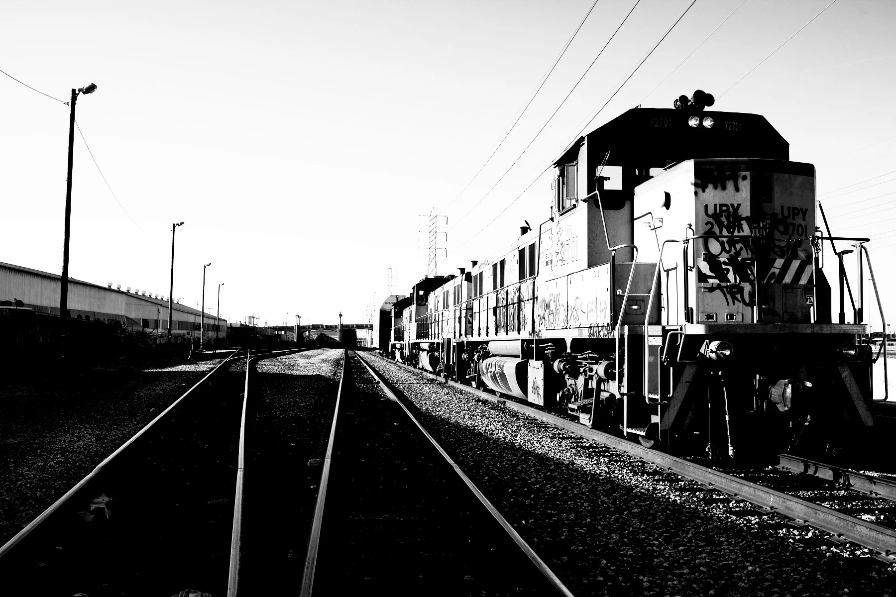 _IMG_7978.jpg