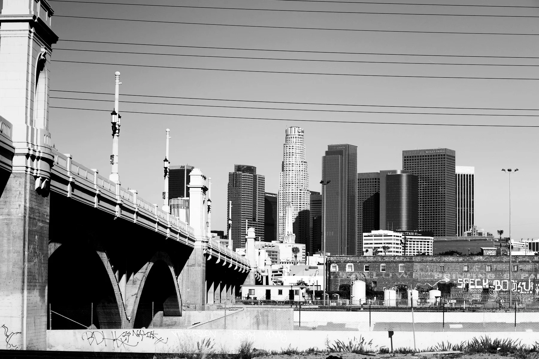 _IMG_7990.jpg