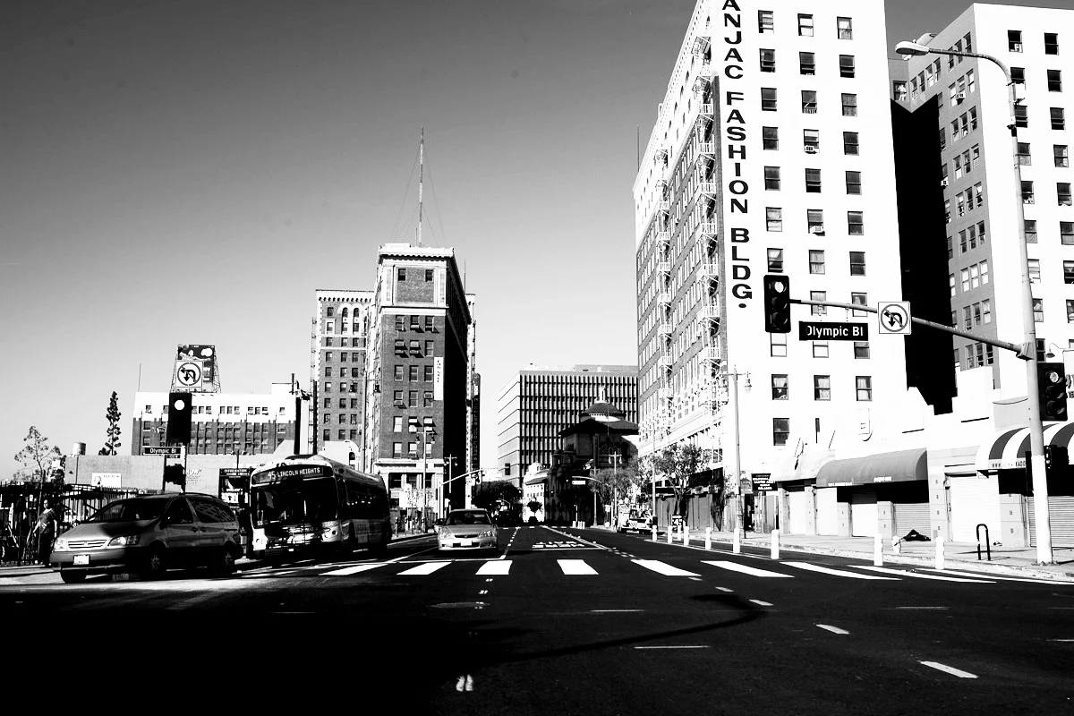 _IMG_8010.jpg